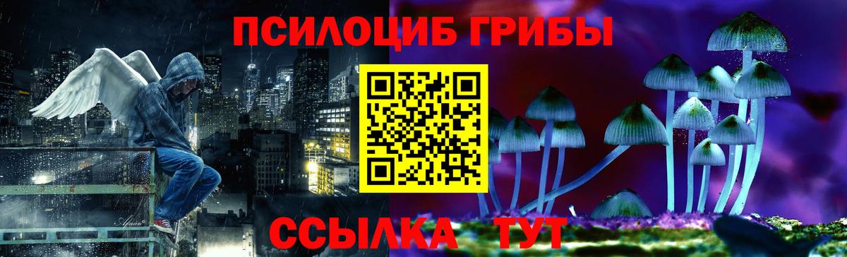 Псилоцибиновые грибы Psilocybe  Вход с VPN  Отрадный 